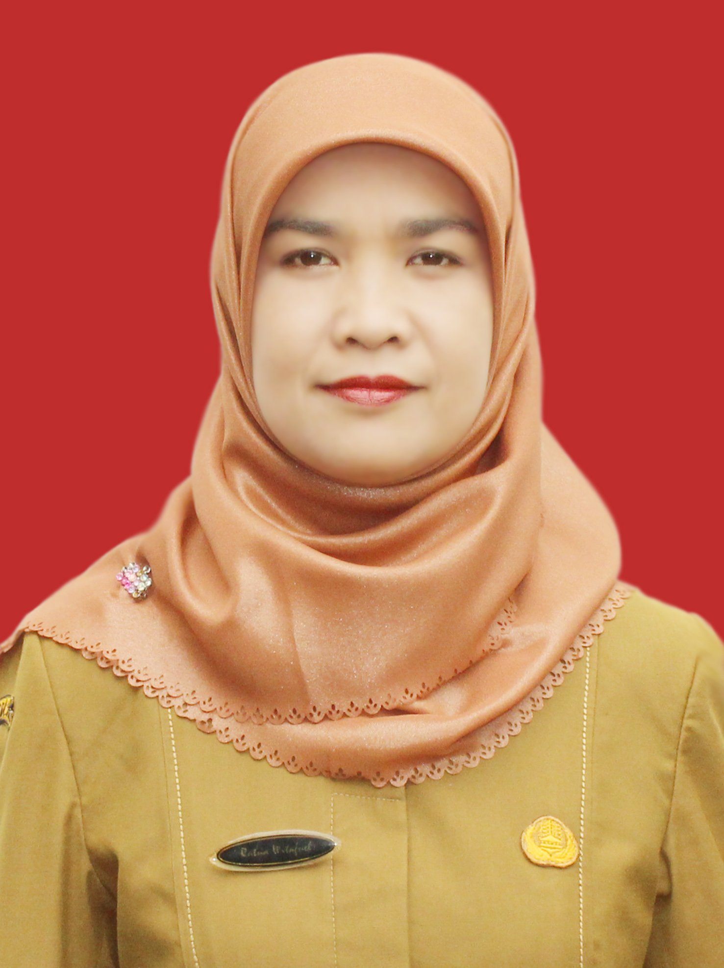 Foto RATNA WITAFNEL, S.Pd